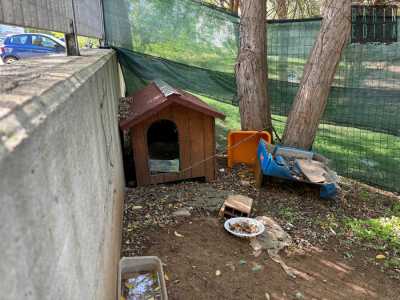 ...lo seguiamo, per imbatterci cos� in una cuccetta nascosta in un angolo del giardino. Andate via le persone, ci pensa quindi una colonia felina a fare da guardia all�antica dimora triggianese